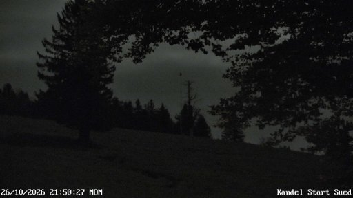 Bild: vor 11:36 Std.